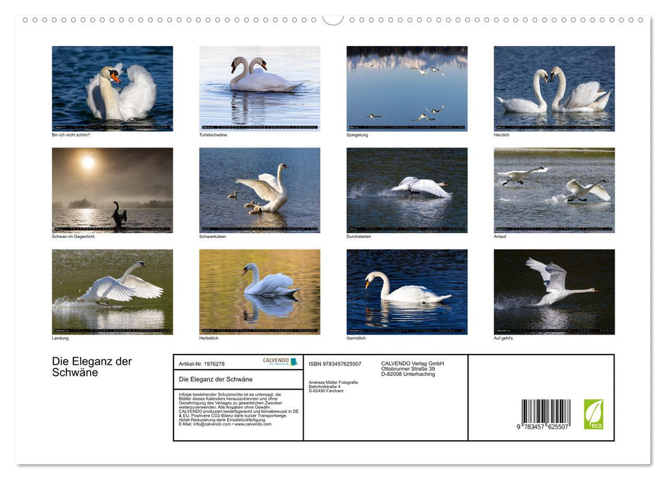 Die Eleganz der Schwäne (CALVENDO Wandkalender 2026)