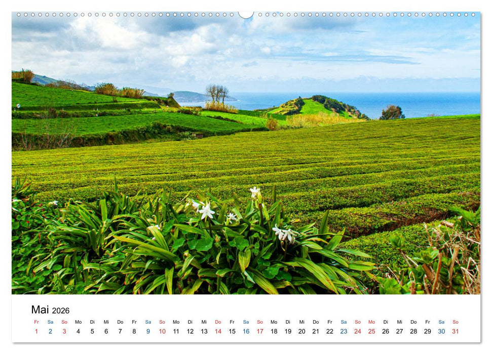 São Miguel - Grüne Insel im Atlantik (CALVENDO Wandkalender 2026)