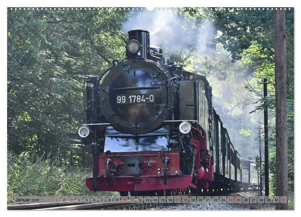 Mit Dampf durch die Natur Rügens (CALVENDO Wandkalender 2026)