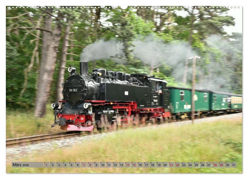 Mit Dampf durch die Natur Rügens (CALVENDO Wandkalender 2026)