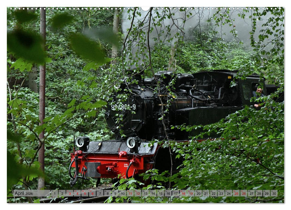 Mit Dampf durch die Natur Rügens (CALVENDO Wandkalender 2026)