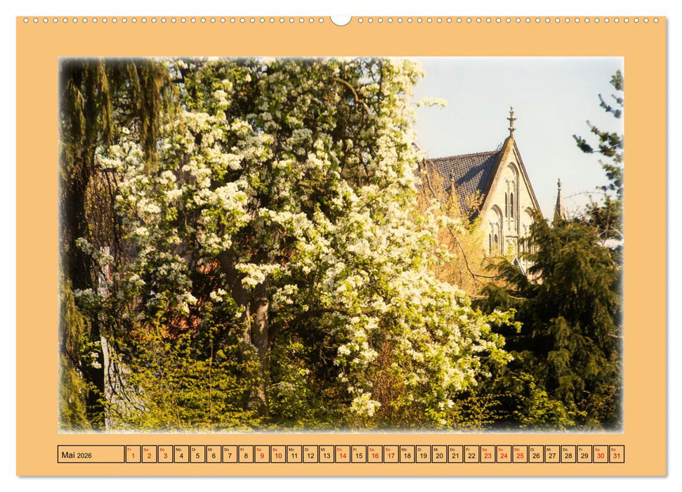 Grüne Welt DAMME (CALVENDO Wandkalender 2026)