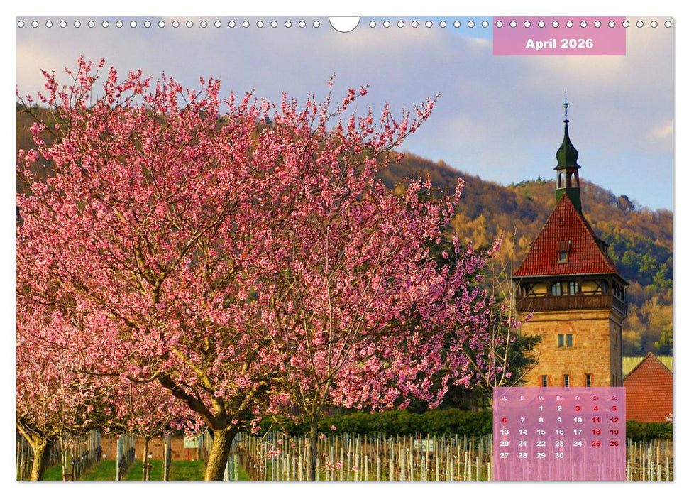 Märchenhaft schöne Südliche Weinstraße (CALVENDO Wandkalender 2026)