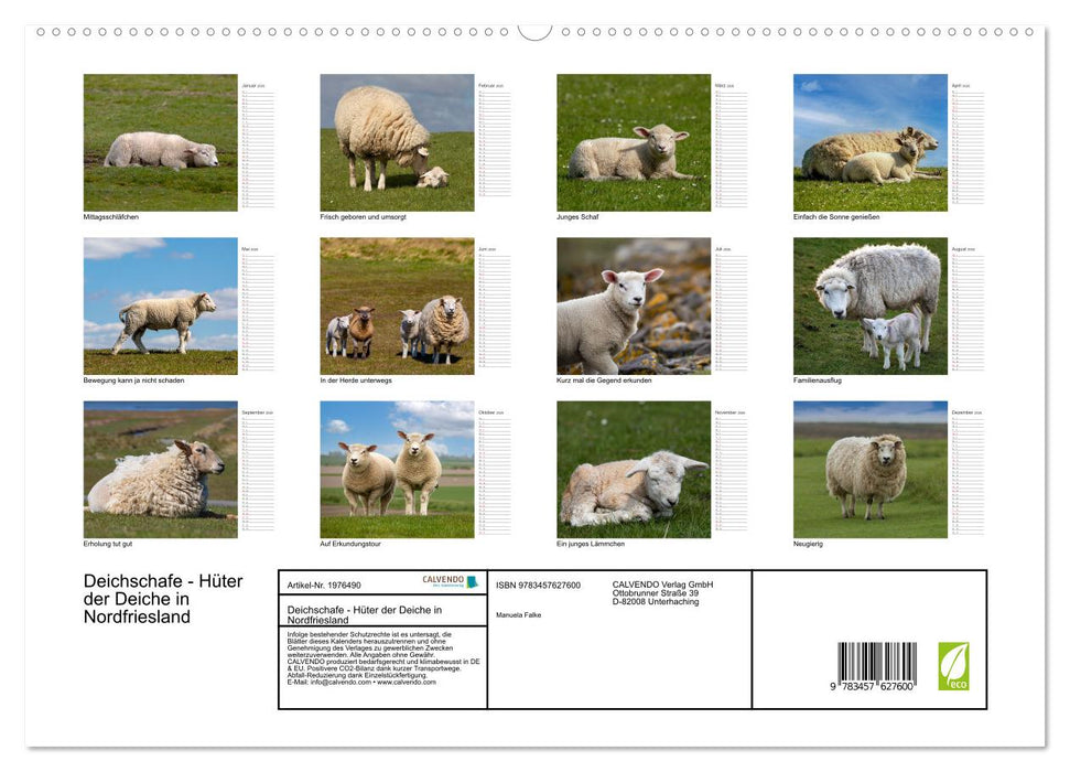 Deichschafe - Hüter der Deiche in Nordfriesland (CALVENDO Wandkalender 2026)