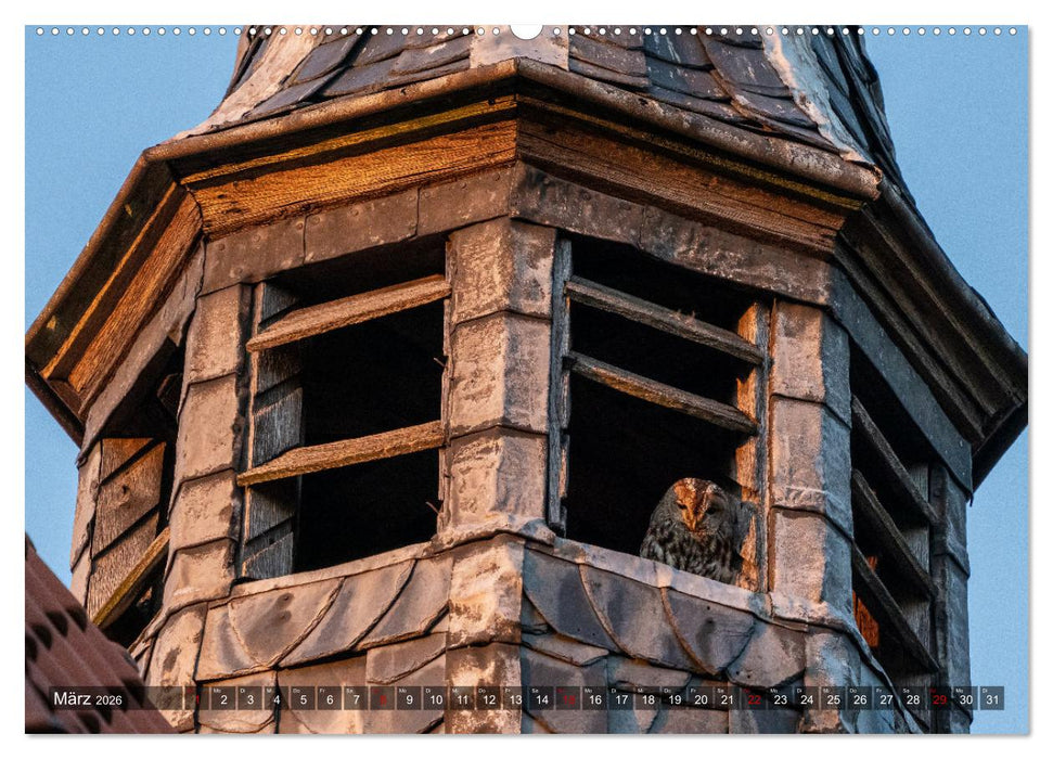 Lieblingsort Westerholt (CALVENDO Wandkalender 2026)