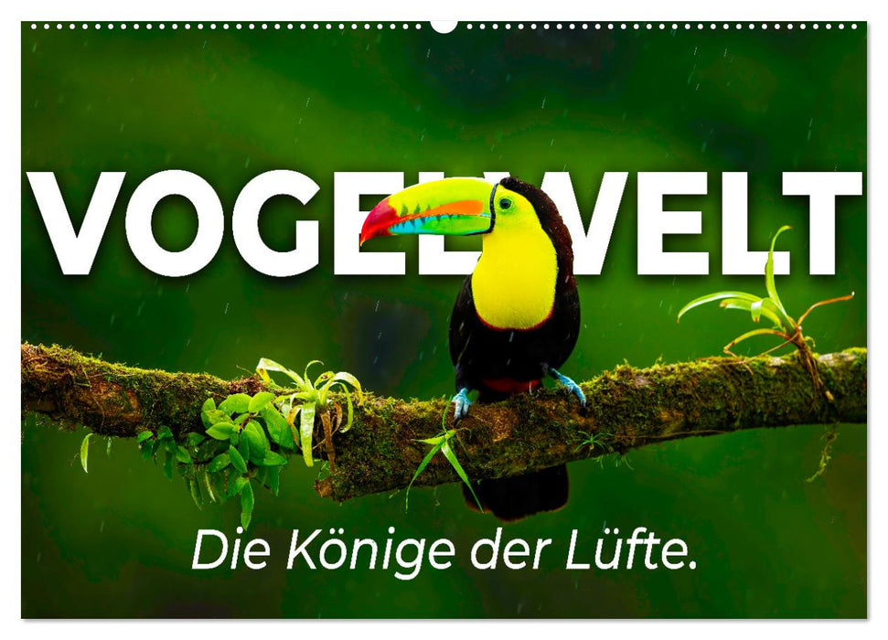 Vogelwelt - Die Könige der Lüfte. (CALVENDO Wandkalender 2026)