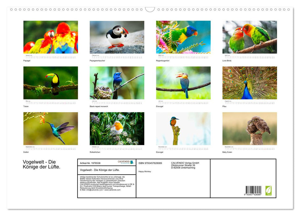 Vogelwelt - Die Könige der Lüfte. (CALVENDO Wandkalender 2026)