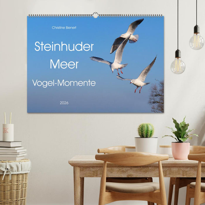 Steinhuder Meer, Vogel-Momente (CALVENDO Wandkalender 2026)