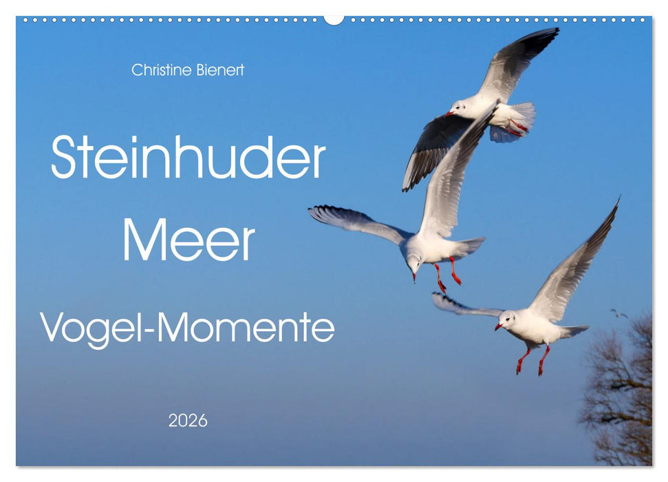 Steinhuder Meer, Vogel-Momente (CALVENDO Wandkalender 2026)