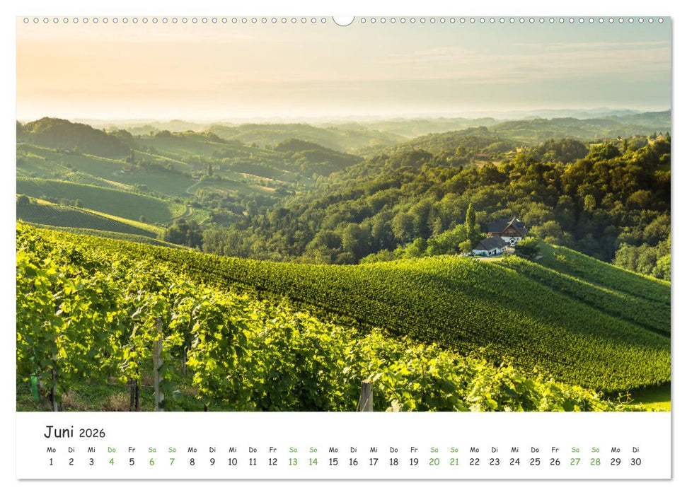 Südsteiermark365 (CALVENDO Wandkalender 2026)