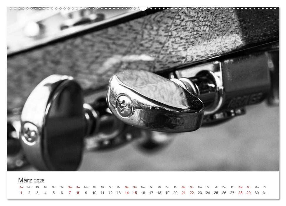 Dobro-Gitarre (CALVENDO Wandkalender 2026)