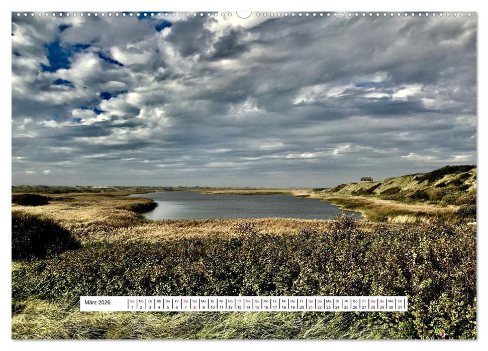 An Dänemarks Küsten (CALVENDO Wandkalender 2026)