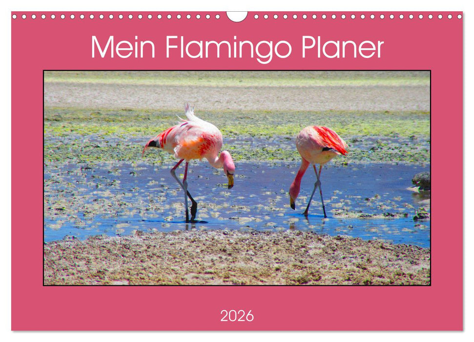 Mein Flamingo Planer (CALVENDO Wandkalender 2026)