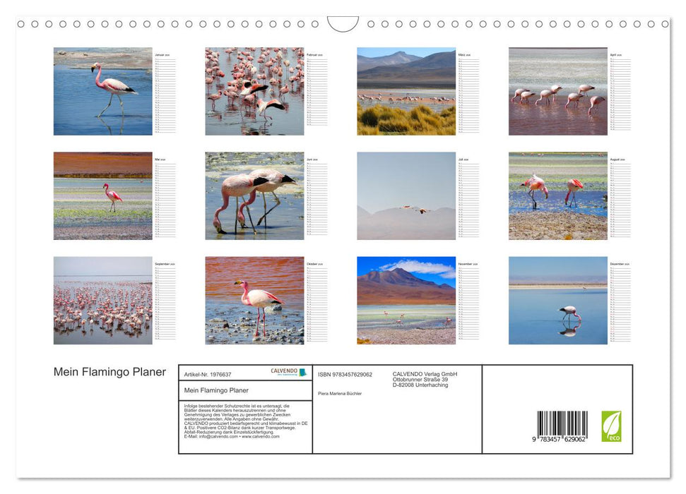 Mein Flamingo Planer (CALVENDO Wandkalender 2026)