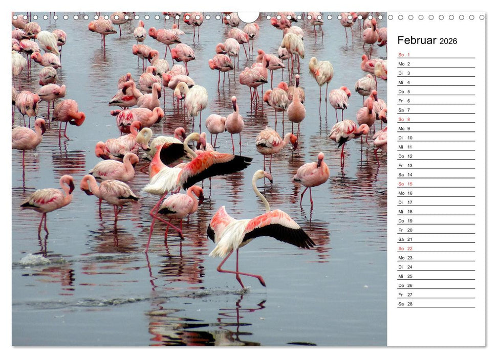 Mein Flamingo Planer (CALVENDO Wandkalender 2026)