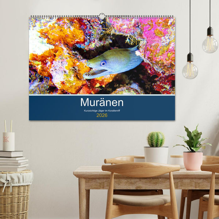 Muränen - Kurzsichtige Jäger im Korallenriff (CALVENDO Wandkalender 2026)
