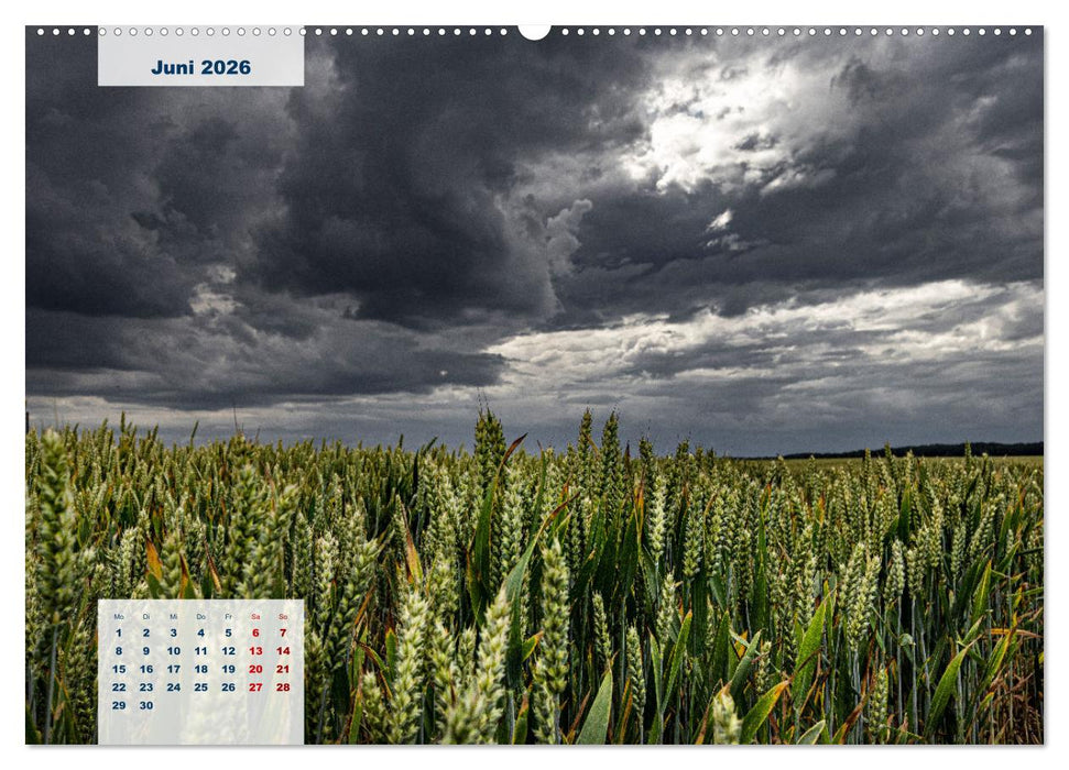 Rügen Träume (CALVENDO Wandkalender 2026)