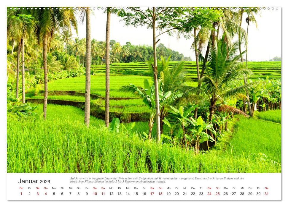 JAVA Natur pur (CALVENDO Wandkalender 2026)