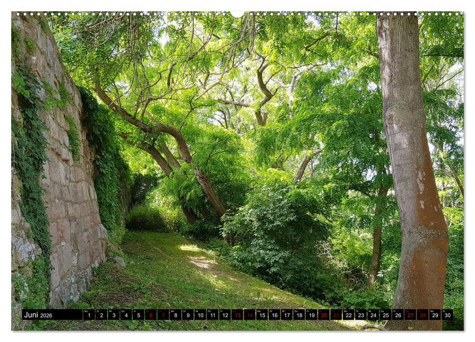 Kyffhäuser-Land Stille Landschaften - Geheimnisvolle Orte (CALVENDO Wandkalender 2026)