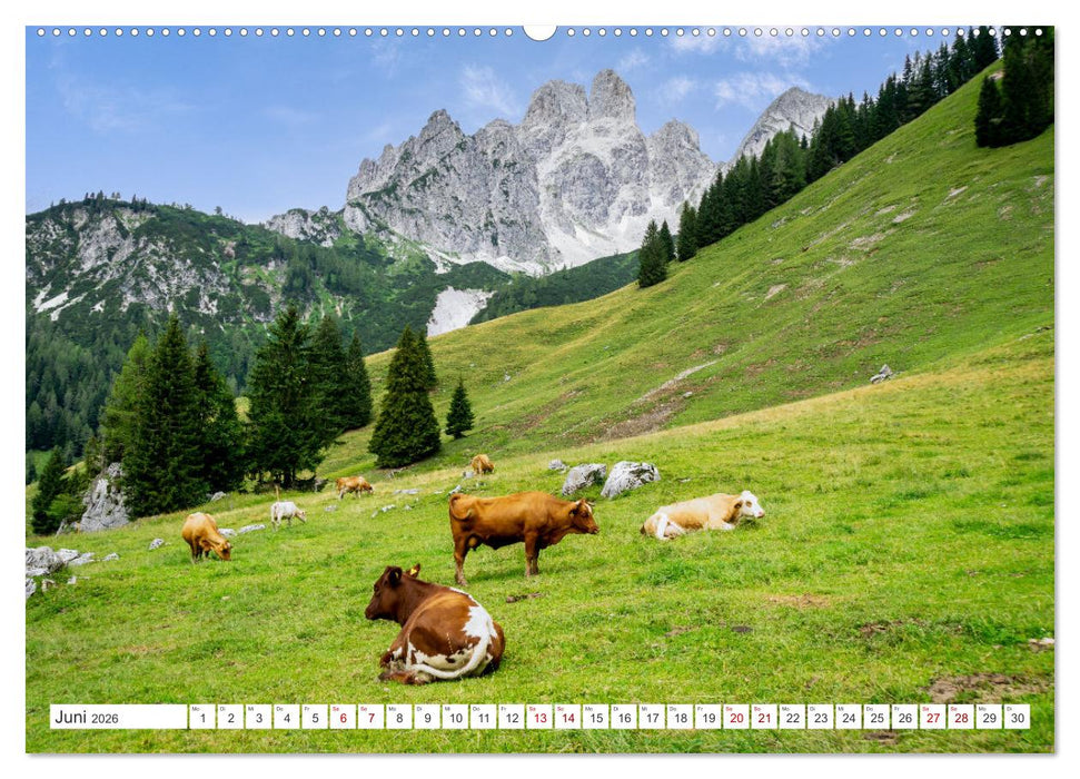 Das wunderbare Ramsau am Fuße des Dachsteins (CALVENDO Wandkalender 2026)
