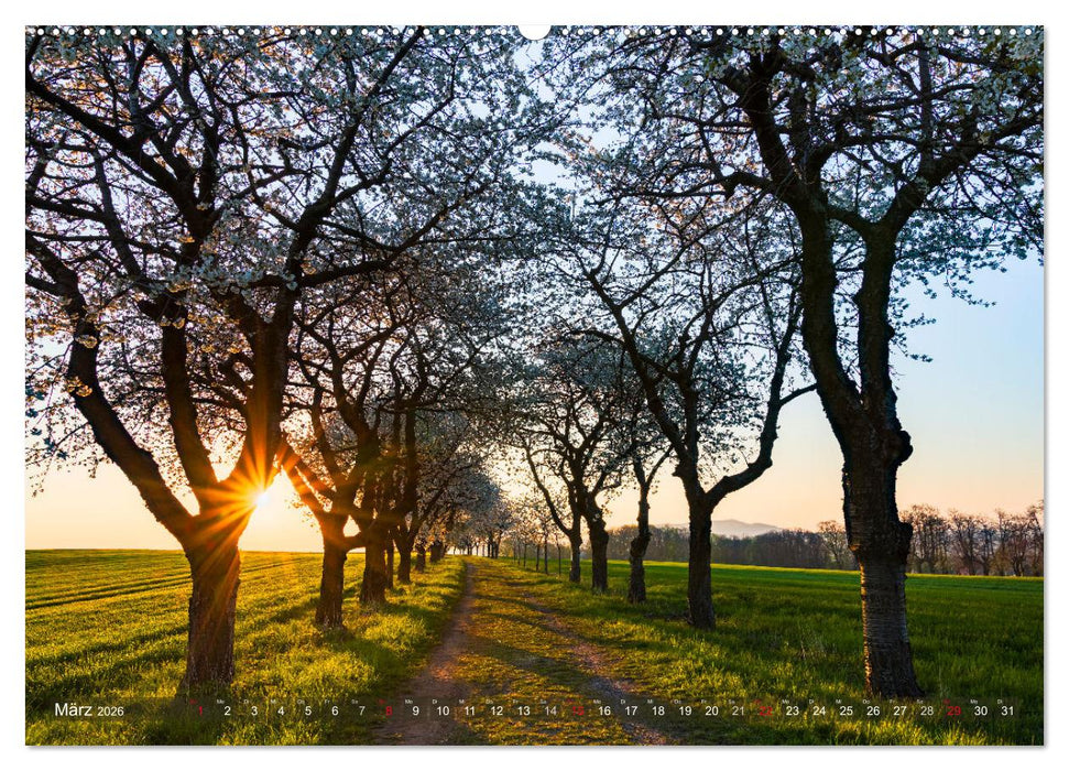Stimmungsvolle Landschaften in Sachsen 2026 (CALVENDO Wandkalender 2026)