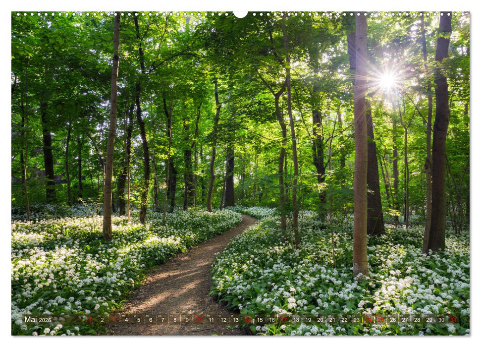 Stimmungsvolle Landschaften in Sachsen 2026 (CALVENDO Wandkalender 2026)