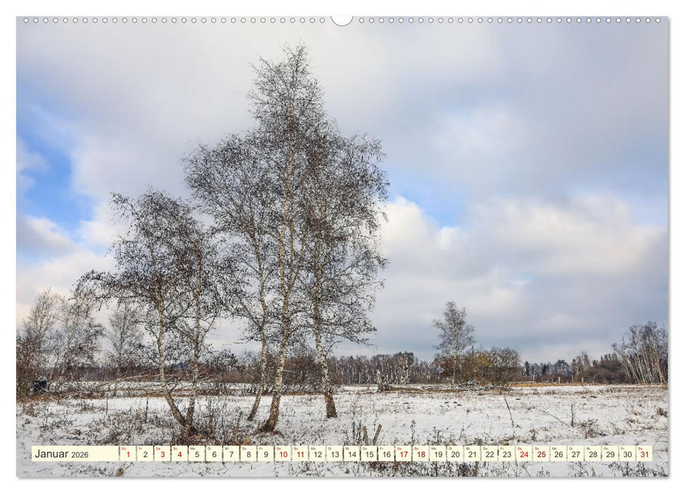 Moor und Riedlandschaften im Südwesten (CALVENDO Wandkalender 2026)