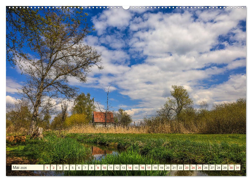 Moor und Riedlandschaften im Südwesten (CALVENDO Wandkalender 2026)