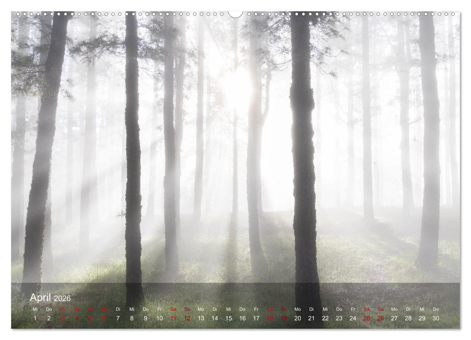 La Palma - La Isla Bonita (CALVENDO Wandkalender 2026)