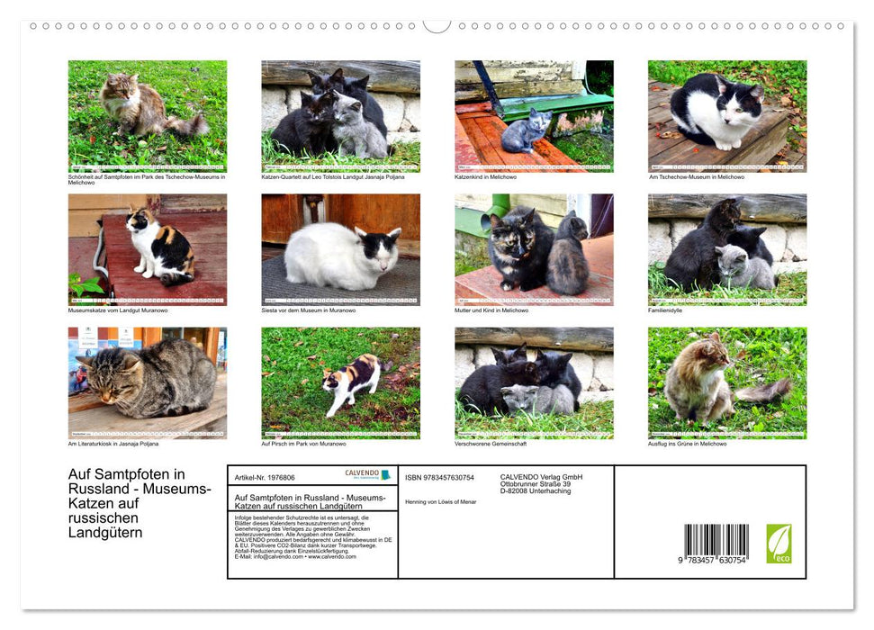 Auf Samtpfoten in Russland - Museums-Katzen auf russischen Landgütern (CALVENDO Wandkalender 2026)