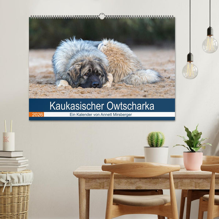 Kaukasischer Owtscharka (CALVENDO Wandkalender 2026)