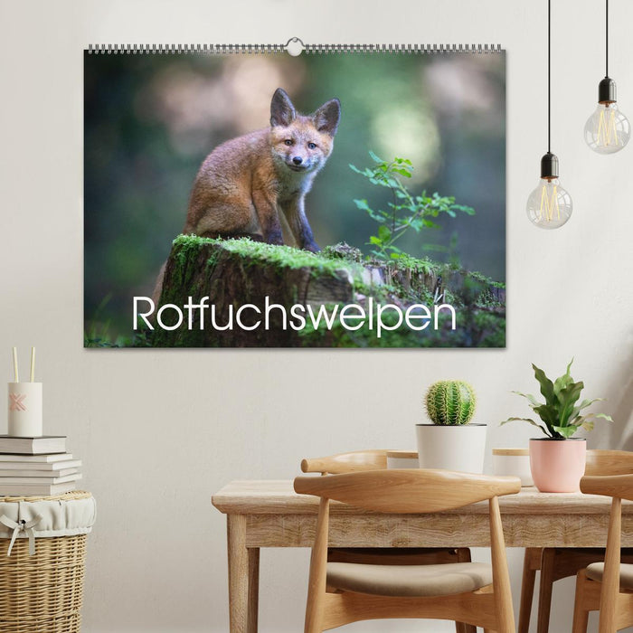 Rotfuchswelpen (CALVENDO Wandkalender 2026)