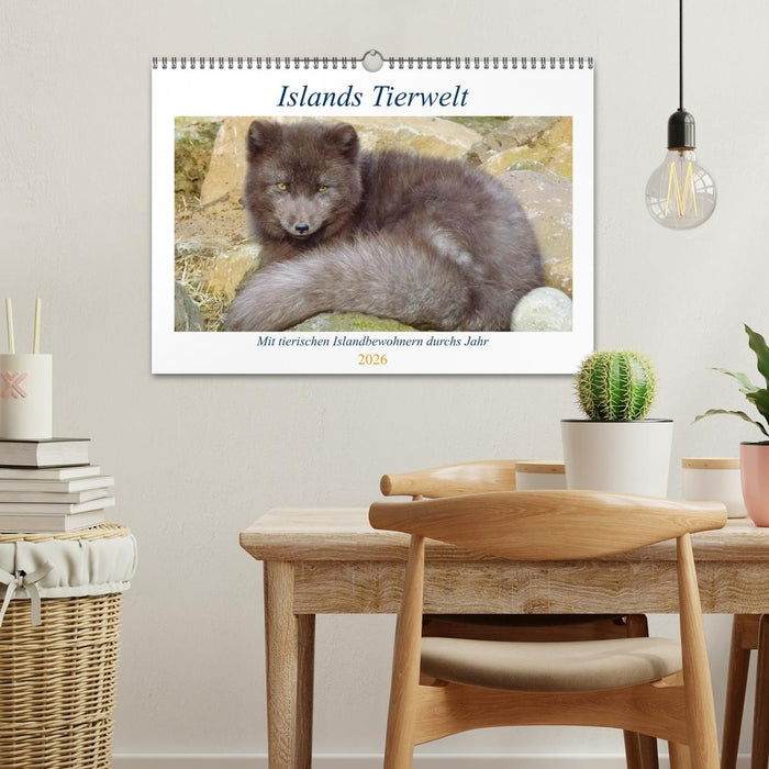 Islands Tierwelt - Mit tierischen Inselbewohnern durchs Jahr (CALVENDO Wandkalender 2026)