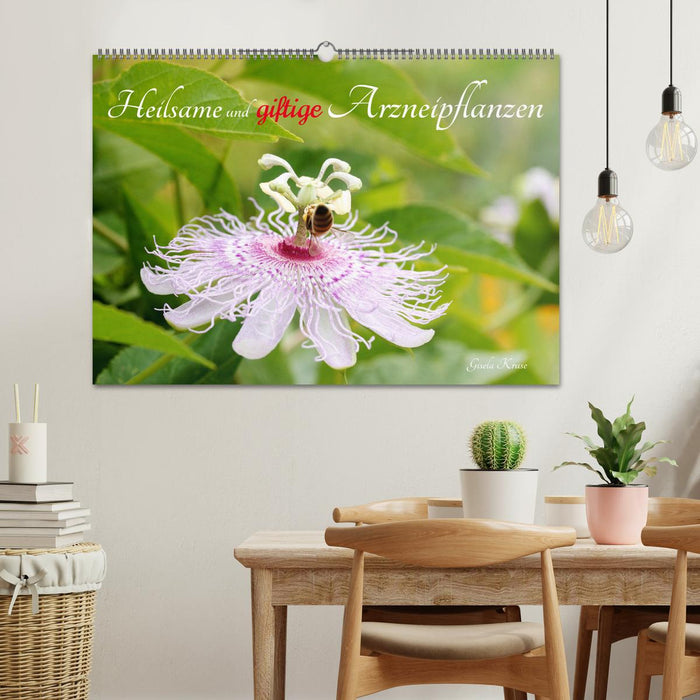 Heilsame und giftige Arzneipflanzen (CALVENDO Wandkalender 2026)