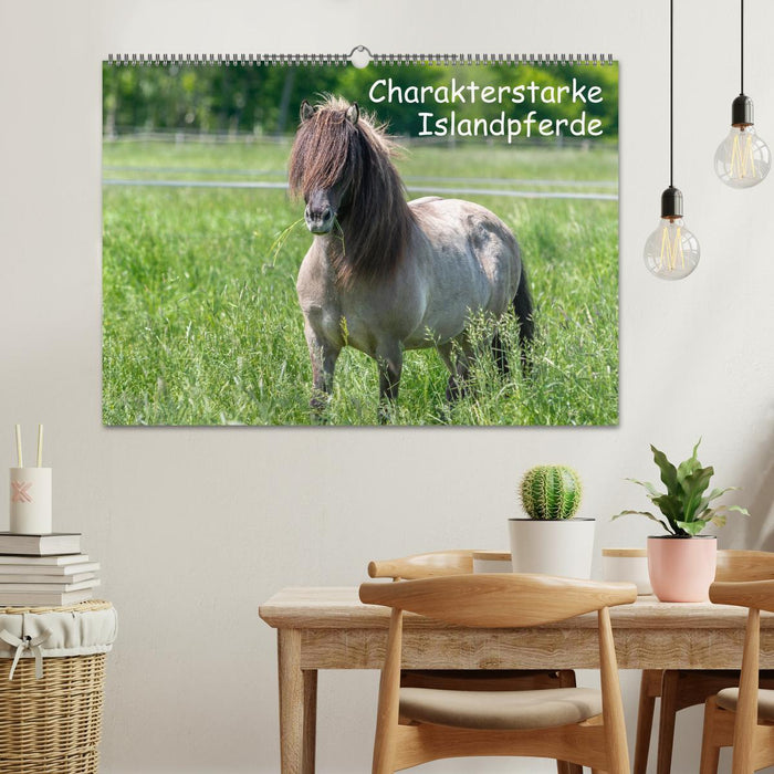 Charakterstarke Islandpferde (CALVENDO Wandkalender 2026)