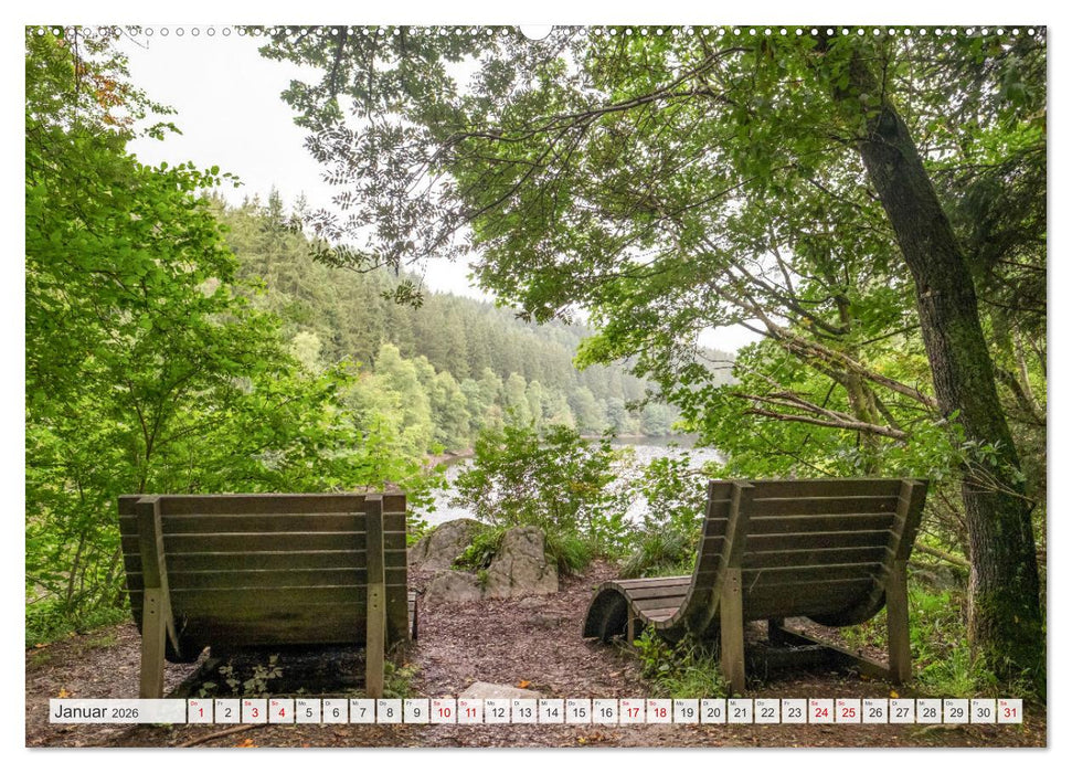 Nationalpark Eifel - Schöne Tage im Grünen (CALVENDO Wandkalender 2026)