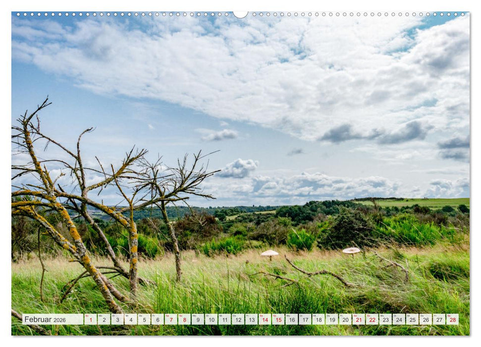 Nationalpark Eifel - Schöne Tage im Grünen (CALVENDO Wandkalender 2026)