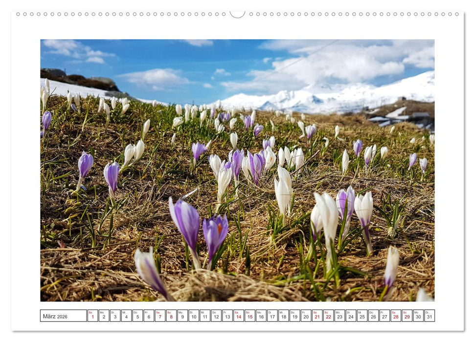 Natur Momente (CALVENDO Wandkalender 2026)