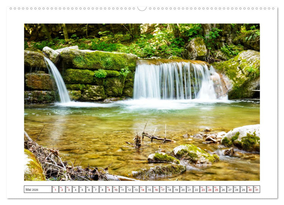 Natur Momente (CALVENDO Wandkalender 2026)