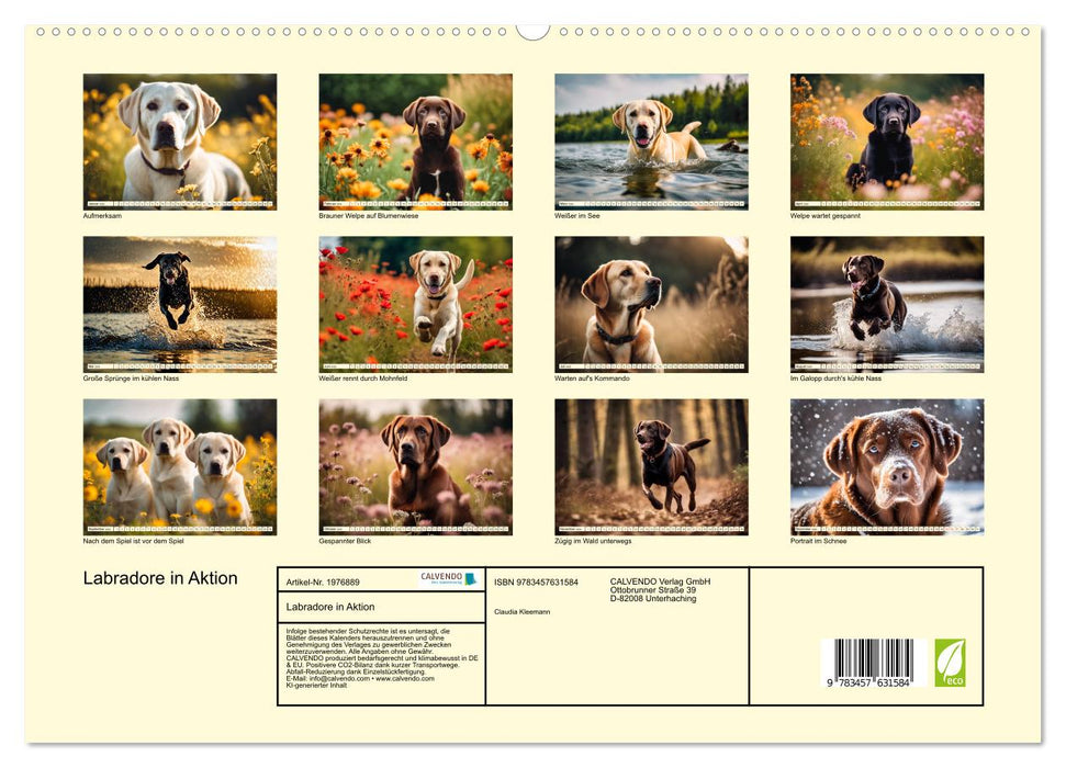 Labradore in Aktion (CALVENDO Premium Wandkalender 2026)