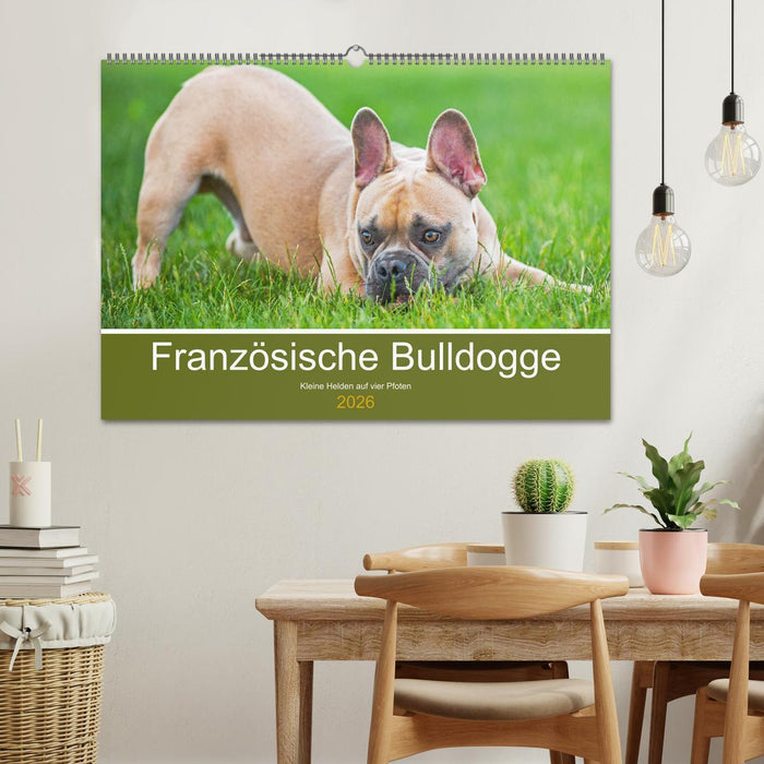 Französische Bulldogge - Kleine Helden auf vier Pfoten (CALVENDO Wandkalender 2026)