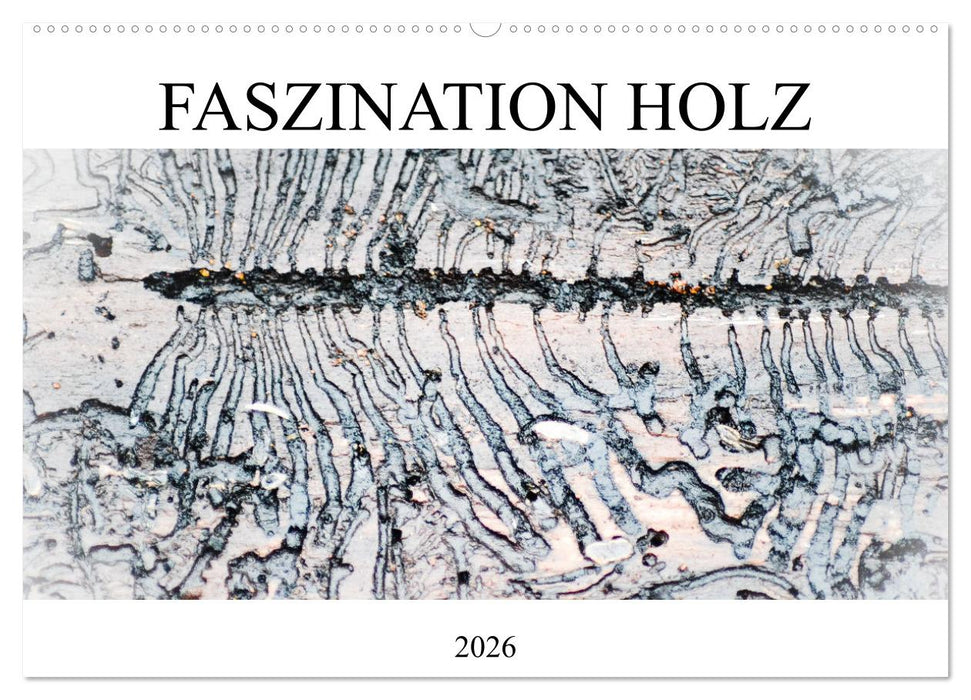 Faszination Holz (CALVENDO Wandkalender 2026)
