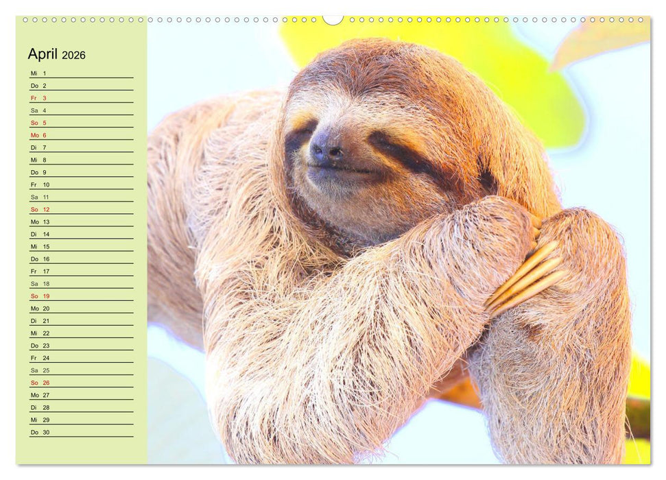 Der Faultier-Planer für mehr Ruhe und Gemütlichkeit! (CALVENDO Premium Wandkalender 2026)
