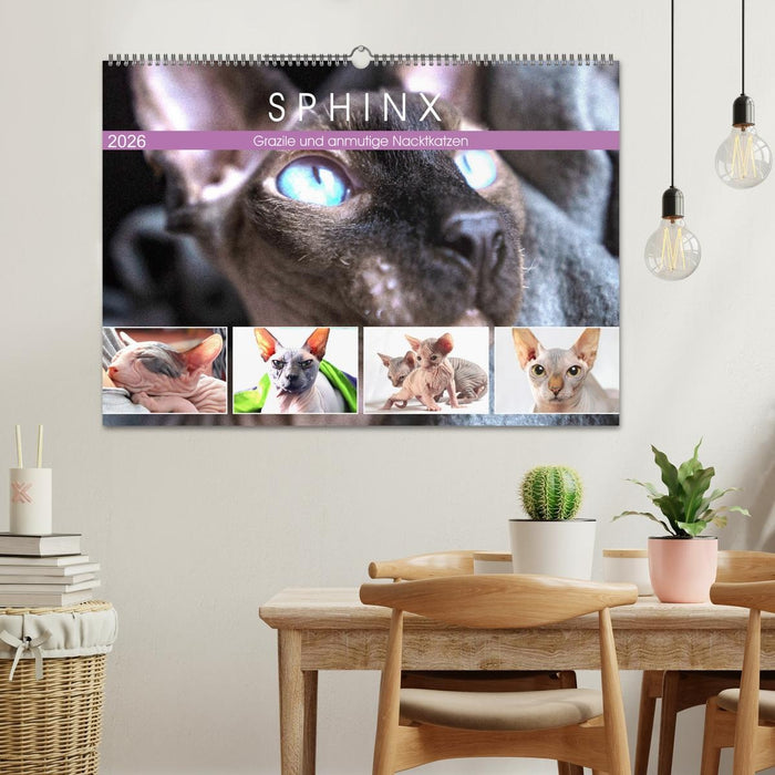 Sphinx. Grazile und anmutige Nacktkatzen (CALVENDO Wandkalender 2026)