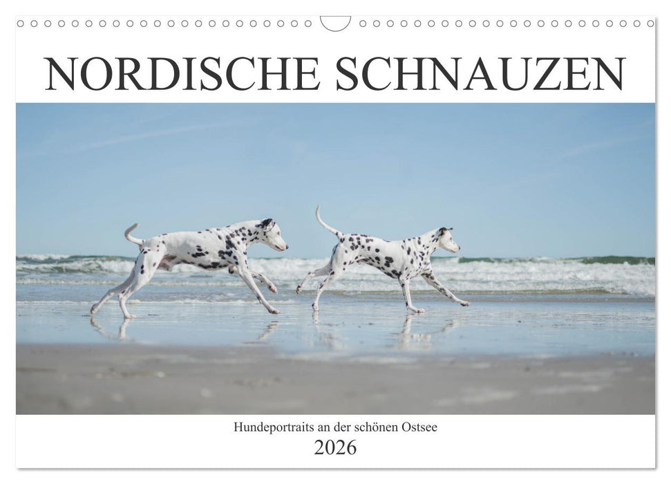 Nordische Schnauzen (CALVENDO Wandkalender 2026)
