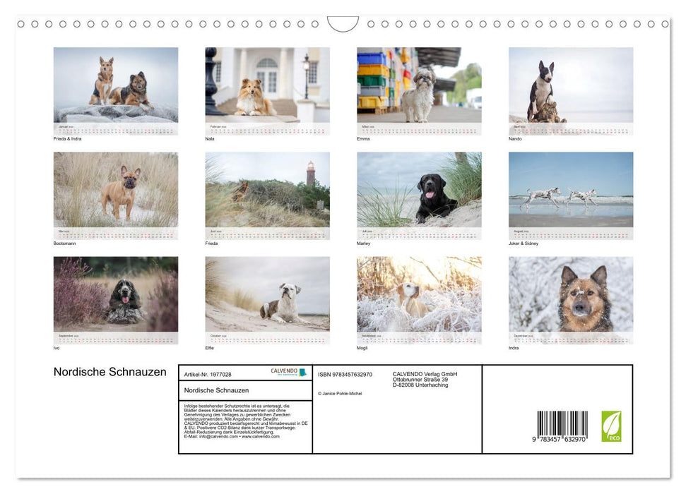Nordische Schnauzen (CALVENDO Wandkalender 2026)