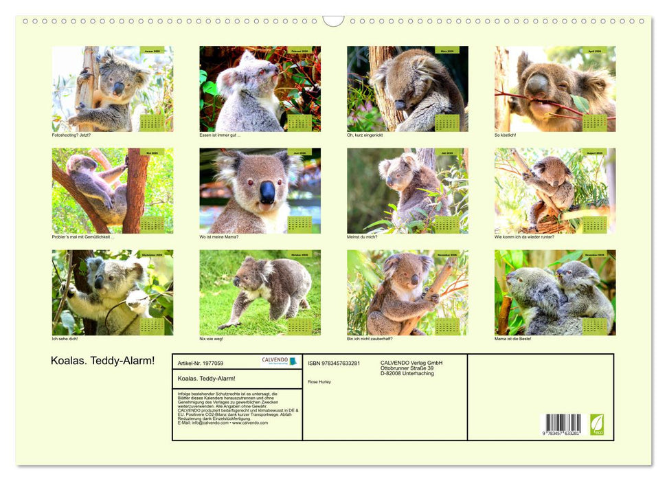 Koalas. Teddy-Alarm! (CALVENDO Wandkalender 2026)
