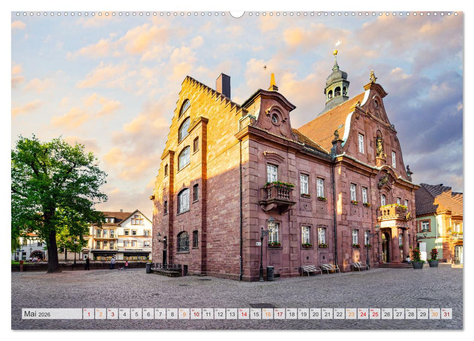 Ettlingen Impressionen (CALVENDO Wandkalender 2026)