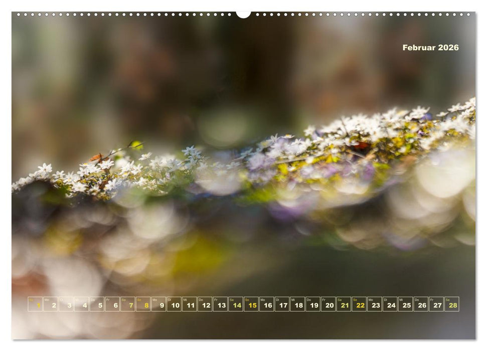 Magische Natur in NRW 2026 (CALVENDO Wandkalender 2026)