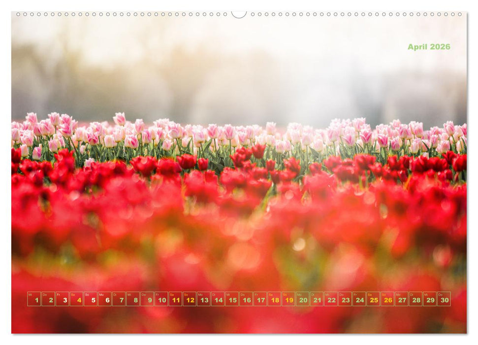 Magische Natur in NRW 2026 (CALVENDO Wandkalender 2026)